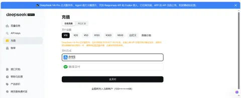 充值页：选金额后用支付宝或微信支付